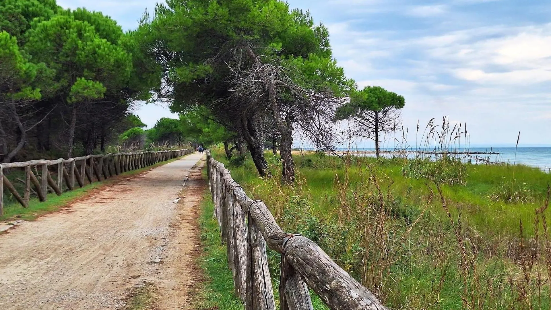 Apartment Nice Flat With Stunning Terrace In Bibione Italy